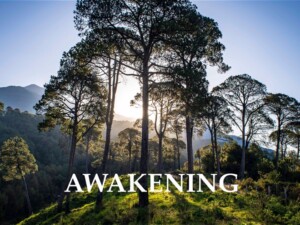 AwakeningVideoThumb