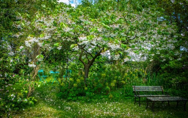 5 A Story of Beginnings thumbnail podcast