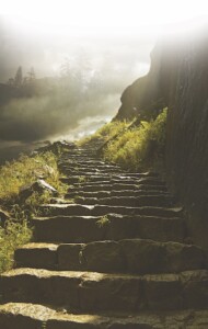 Into the Light