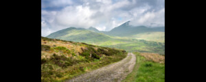 ©Duncan Andison, licensed from istock.com